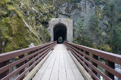 Footbridge amidst trees in tunnel