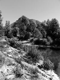 Scenic view of lake in forest against clear sky