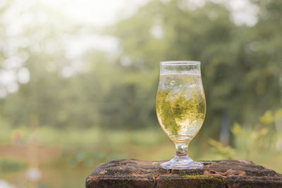 Close-up of drink in glass