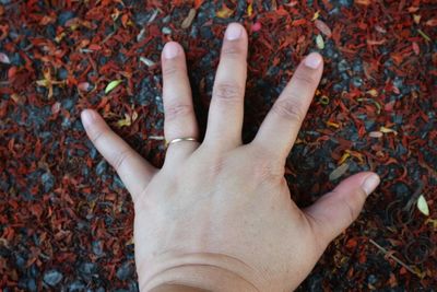Low section of person legs on autumn leaves
