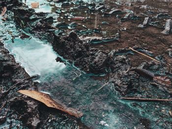 High angle view of log on shore