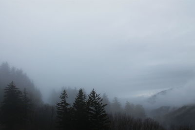 Silhouette trees on mountains in foggy weather