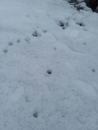 High angle view of snow covered field