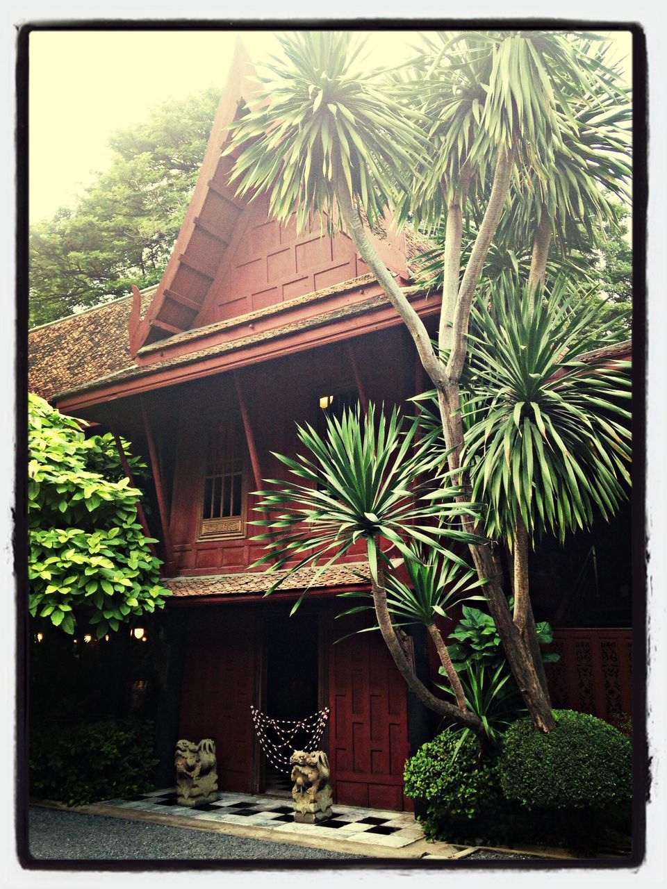 VIEW OF A BUILDING WITH TREE IN FOREGROUND