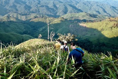 Rear view of people walking amidst plants on mountain