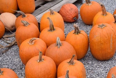 Pumpkins in market during autumn