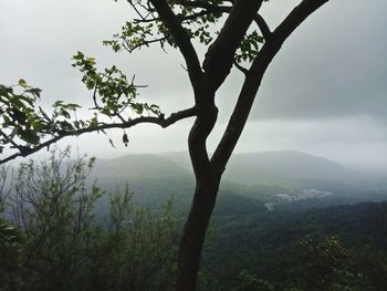 Scenic view of tree mountains against sky