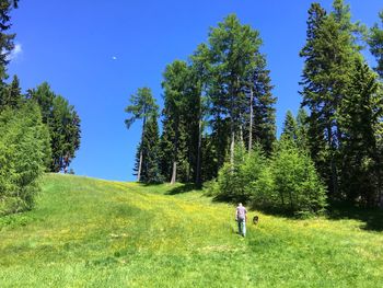 Rear view of man walking on field against clear sky