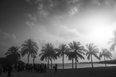 Palm trees on beach against sky