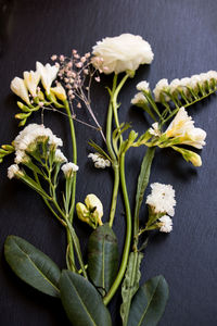 Close-up of flowers