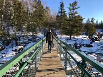 Rear view of man walking on footbridge in forest during winter
