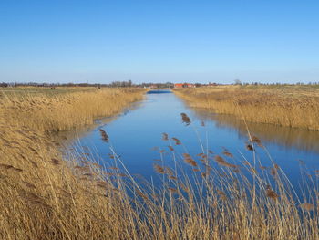 Scenic view of landscape against clear blue sky