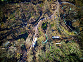 High angle view of trees on landscape