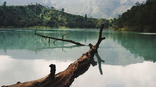 Scenic view of lake against trees