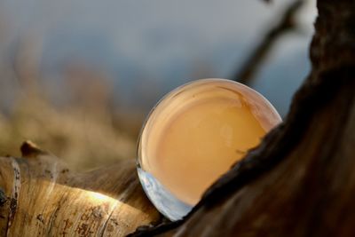 Close-up of drink on table