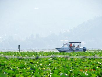 Scenic view of agricultural field