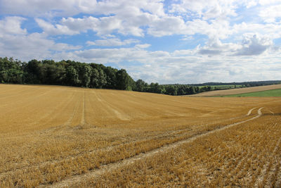 Scenic view of field against sky