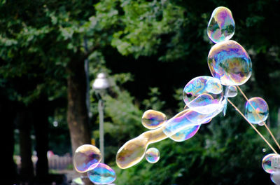 Close-up of bubbles