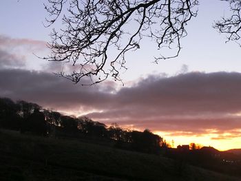 Silhouette trees on landscape against sky at sunset