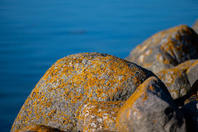 Close-up of rusty metal on rock