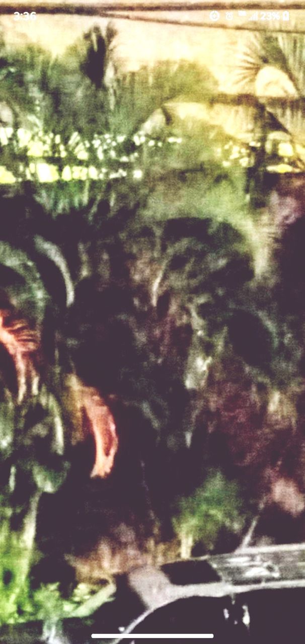 Priceless picture capturing a rare glimpse into the invisible (SPIRITUAL) world that surrounds us. Spirits Surround The Land Ghost Aliens Demonic Entities Fallen Angels Heavenly Angels Motion Blurred Motion Defocused Water Close-up First Eyeem Photo