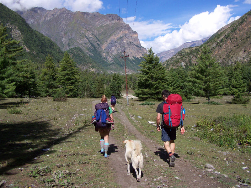 REAR VIEW OF PEOPLE WALKING WITH DOG ON MOUNTAINS