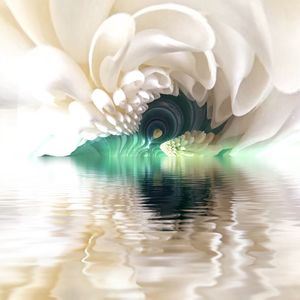 Close-up of flowers in water