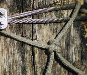 Close-up of rope tied on wood