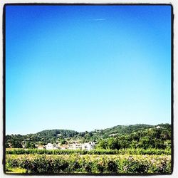 Scenic view of landscape against clear blue sky