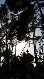 Low angle view of trees against sky