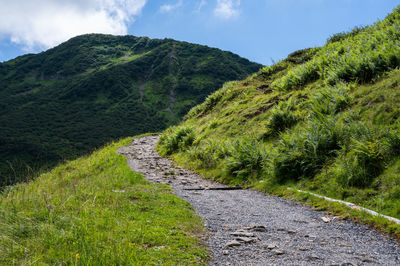 Scenic view of tree mountains against sky