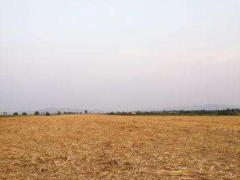 Scenic view of field against clear sky