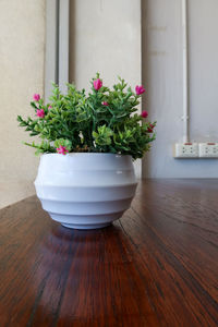 Close-up of potted plant on wooden table