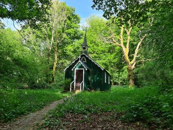 Built structure on field by trees in forest