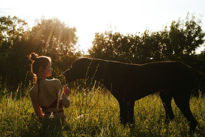Rear view of boy with horse on field against sky