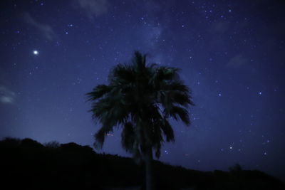 Low angle view of silhouette trees against sky at night