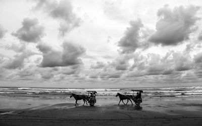 People riding horse cart at beach against cloudy sky