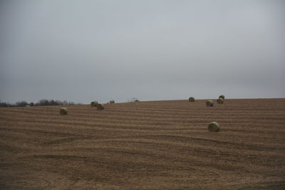 Hay bales on field against sky