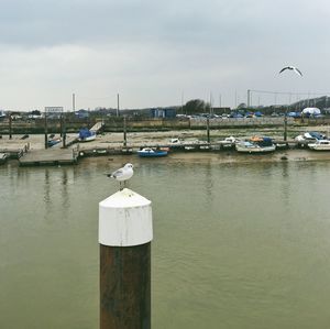 View of boats in harbor