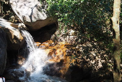 Scenic view of waterfall in forest