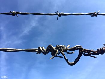 barbed wire