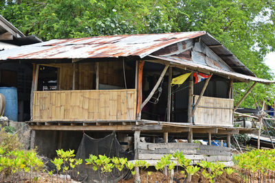 Abandoned house in the forest