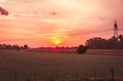 Scenic view of field against sky during sunset