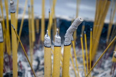 Close-up of snow on yellow during winter