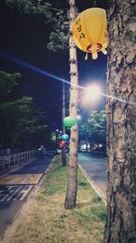 Elephant sculpture against trees at night