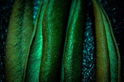 Close-up of green chili peppers for sale in market