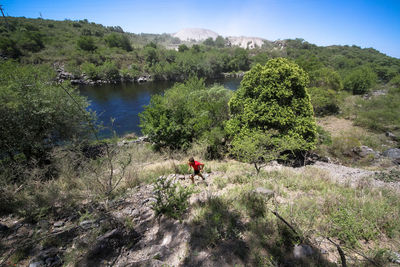 Scenic view of trees on land against mountains