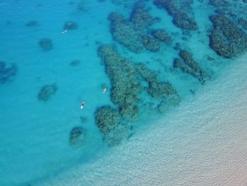 High angle view of people in sea