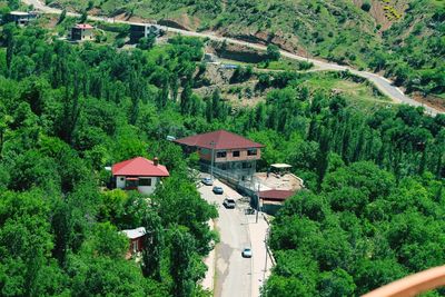 High angle view of trees and houses in forest