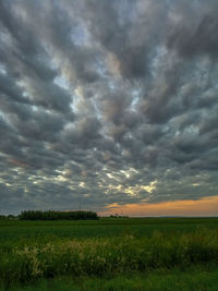 Scenic view of field against cloudy sky during sunset